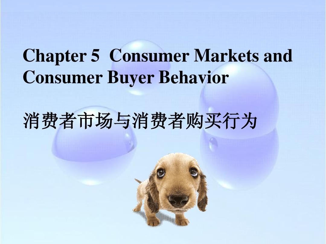 chapter5 Consumer Markets and Consumer Buyer Behavior