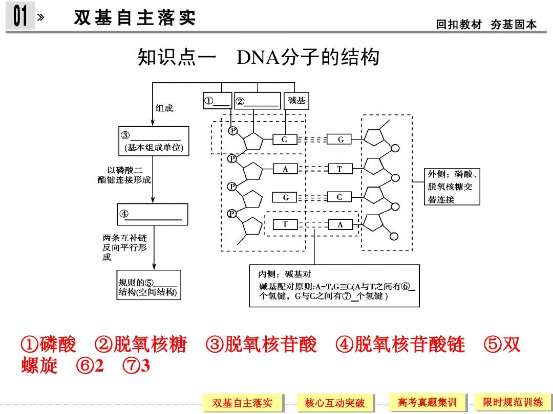 创新设计2014版高考总复习系列2-2-2DNA分子的结构、复制及基因是有遗传效应的DNA片段(免费下载)