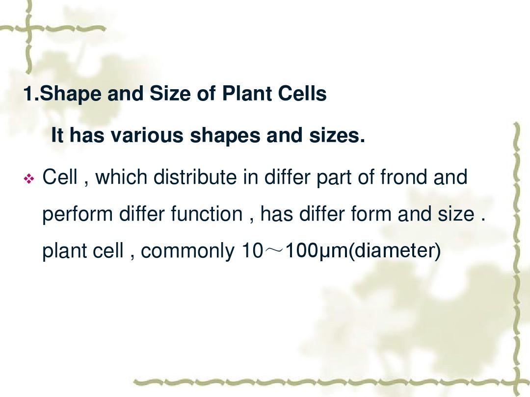 药用植物学 第1章 Plant Cells