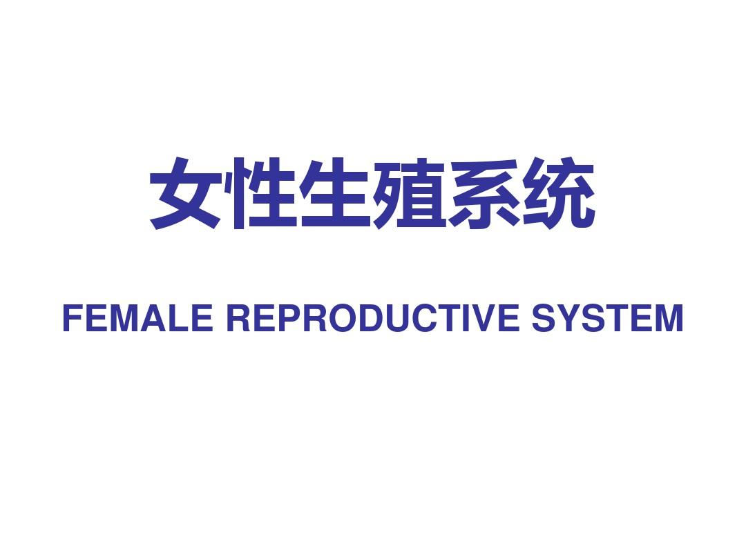 组胚课件女性生殖系统