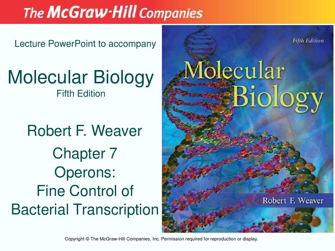 分子生物学 第七章
