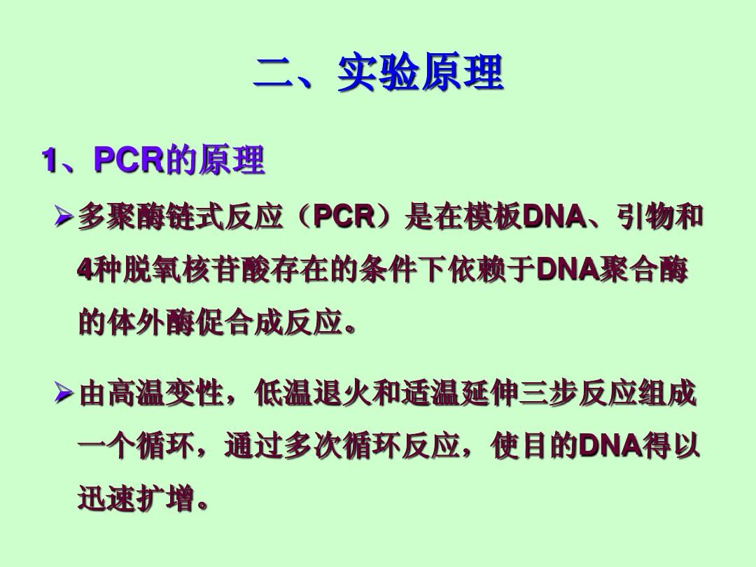 实验2-PCR与琼脂糖凝胶电泳-New