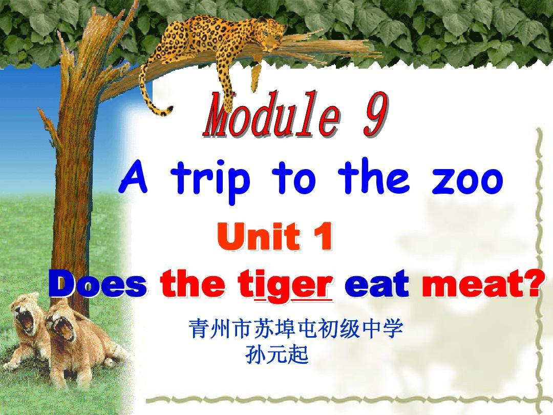 Module9 A  trip to the  zoo Unit1 Does the tiger eat meat —孙元起