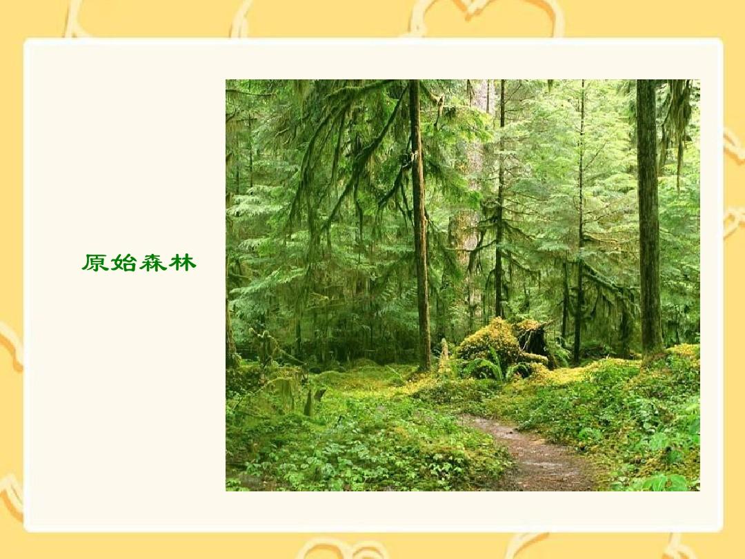 语文A版四年级下册《长童话的森林》PPT课件