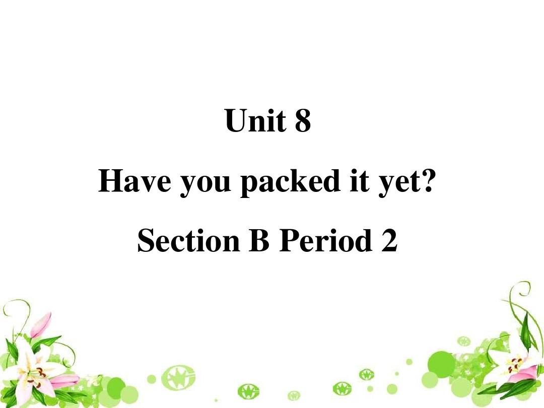 Have you packed yet Section B Period 2课件