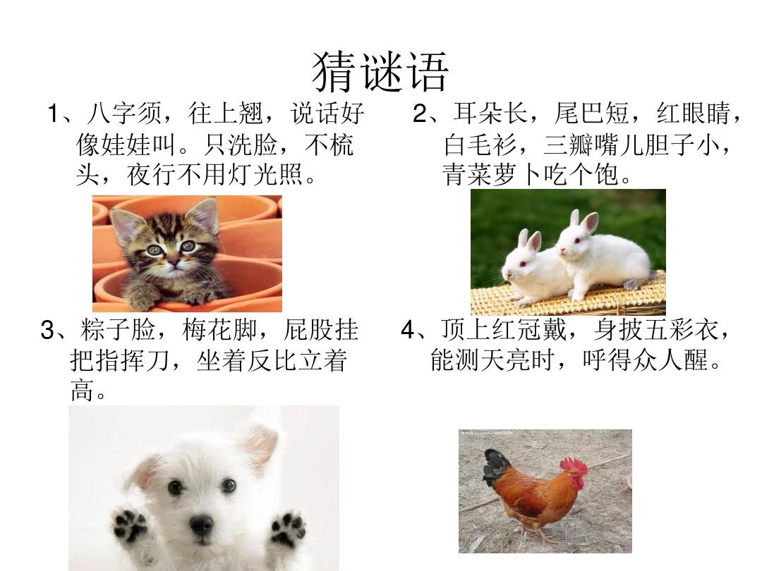 第3课有顺序的写小动物的外形讲解