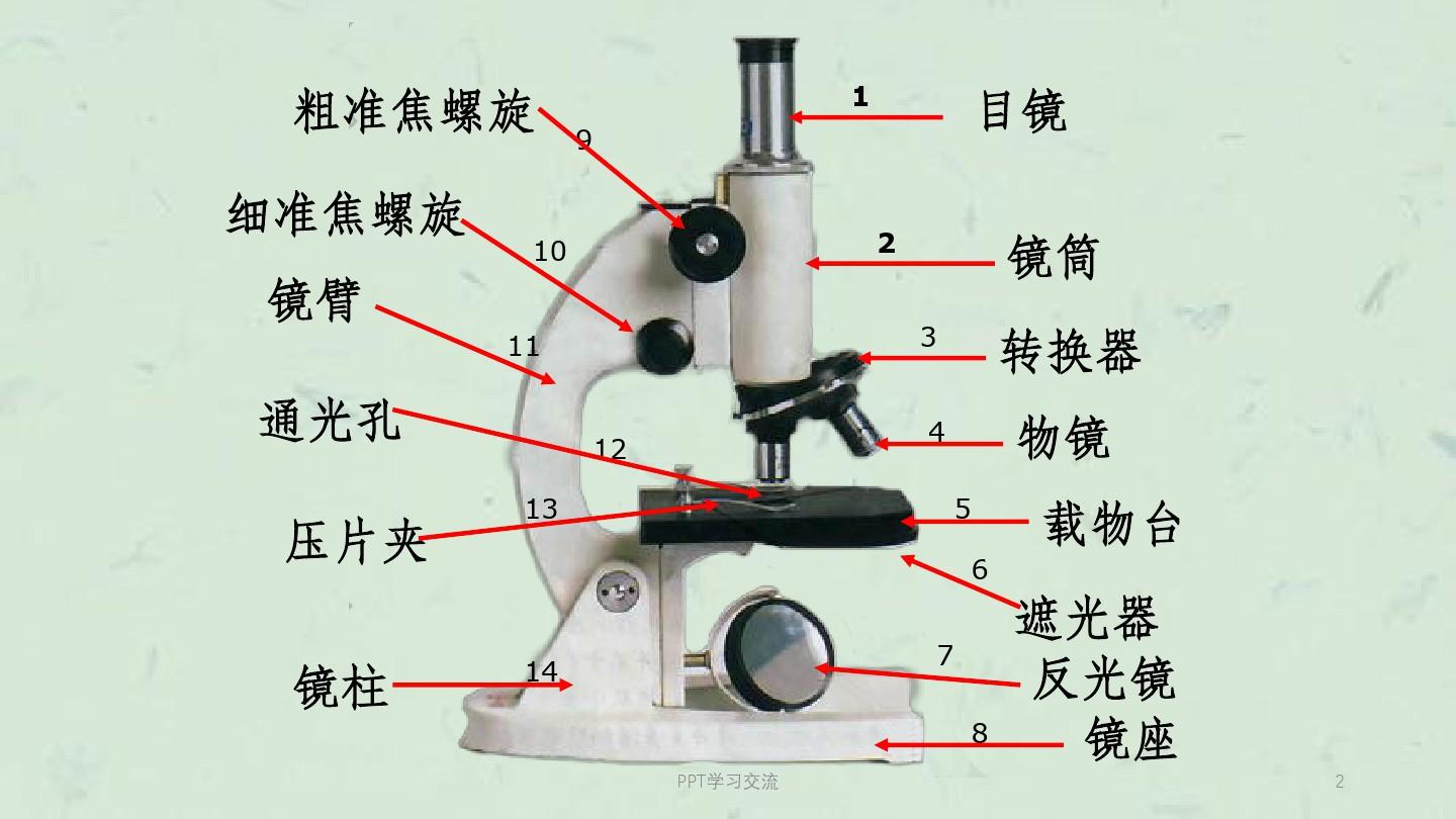显微镜结构图及使用方法课件
