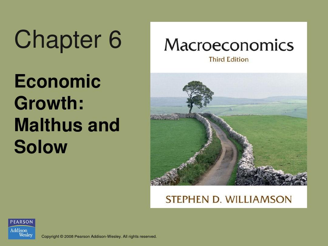 斯蒂芬D威廉森宏观经济学第三版第六章Stephen D. Williamson's Macroeconomics, Third Edition chapter6