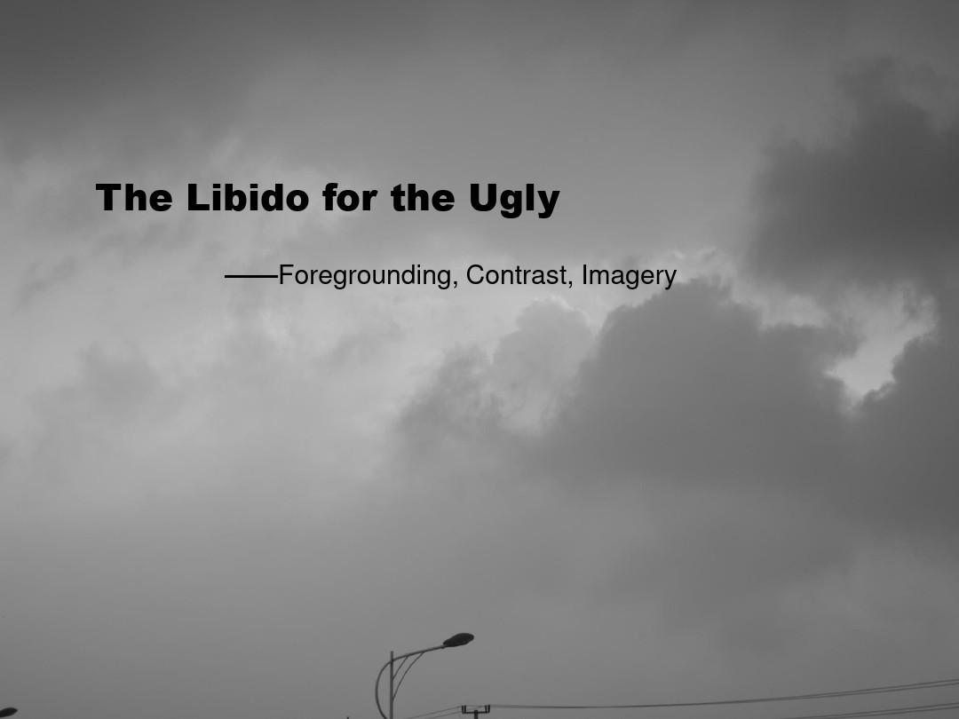 《The Libido for the Ugly》浅析