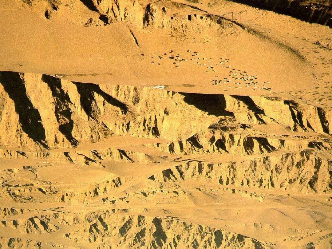 新人教版第三节世界最大的黄土堆积区-黄土高原