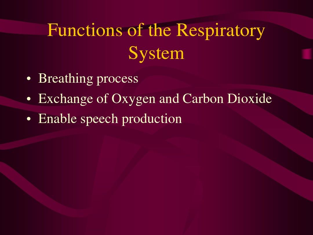 医学术语(呼吸系统)
