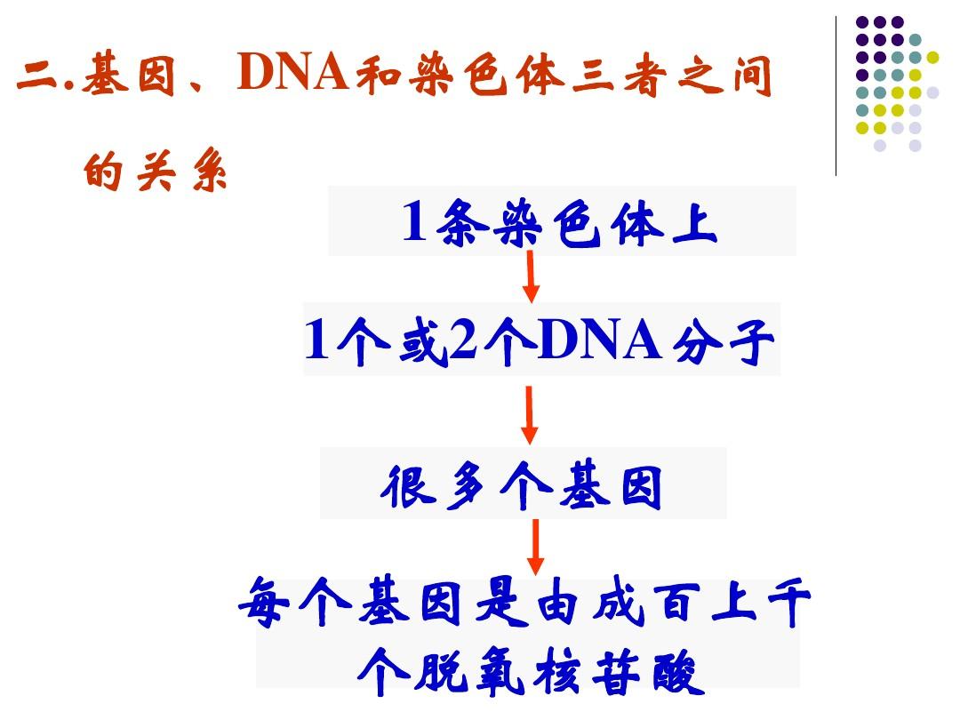 【生物】4.1  基因指导蛋白质的合成 课件2(人教版必修2) (2)