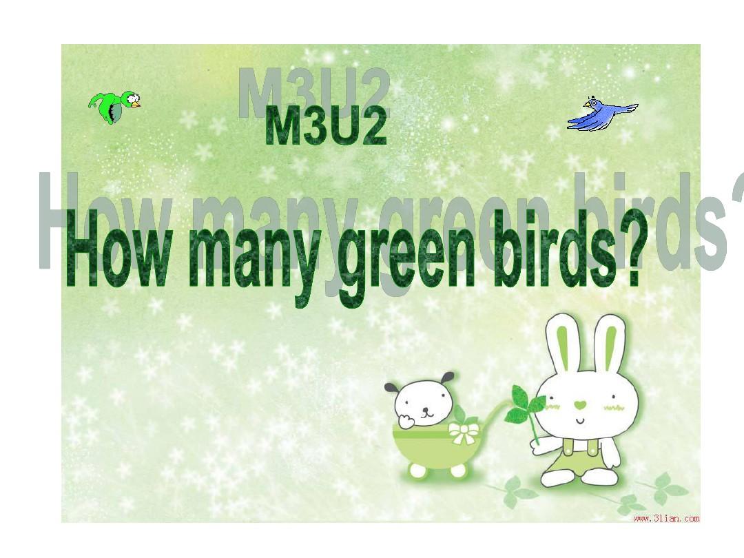 M3U2How many green birds