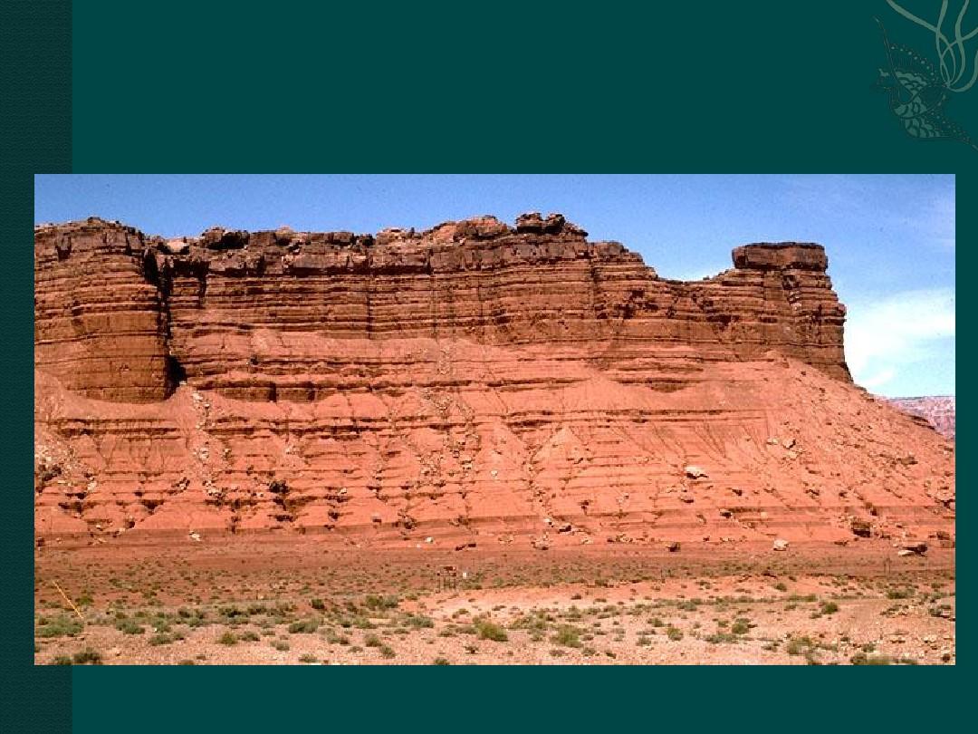 10第一章地层分类体系及地质年代_古生物学与地层学