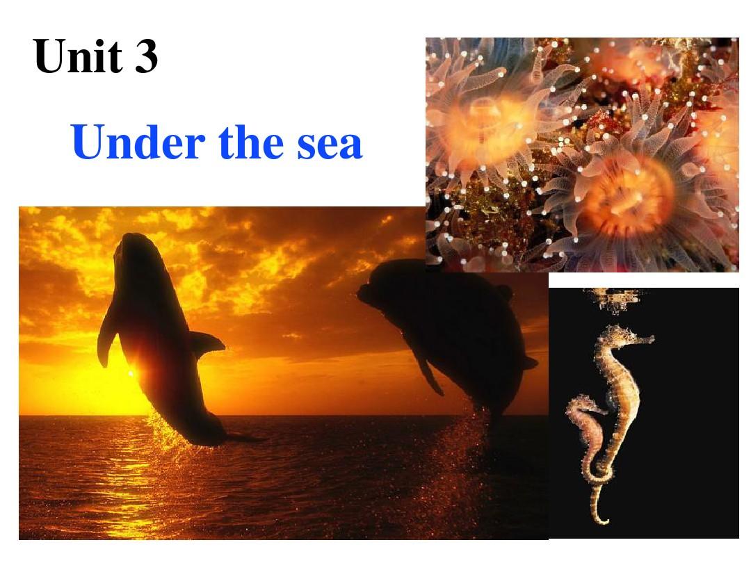 【最新】人教新课标英语选修7课件：Unit 3 Under the sea Writing (共13张PPT)