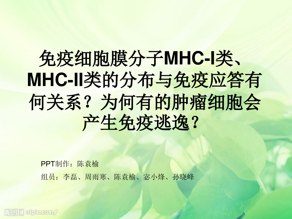 免疫细胞膜分子MHCI类MHCII类的分布与免疫应答有何的关系-医学精品