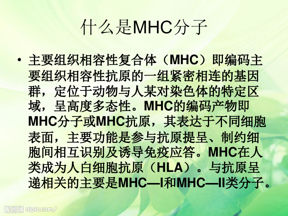 免疫细胞膜分子MHCI类MHCII类的分布与免疫应答有何的关系-医学精品