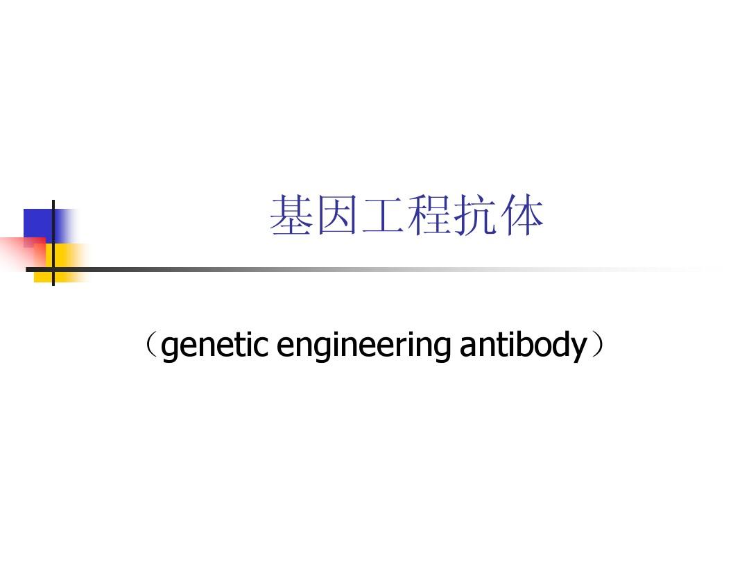 10基因工程抗体