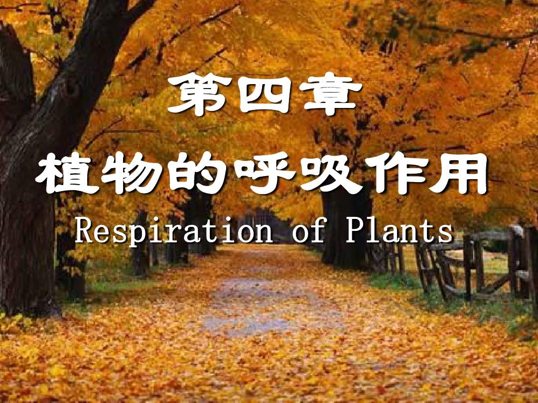 琼州学院精品课程《植物生理学》——第四章 植物的呼吸作用