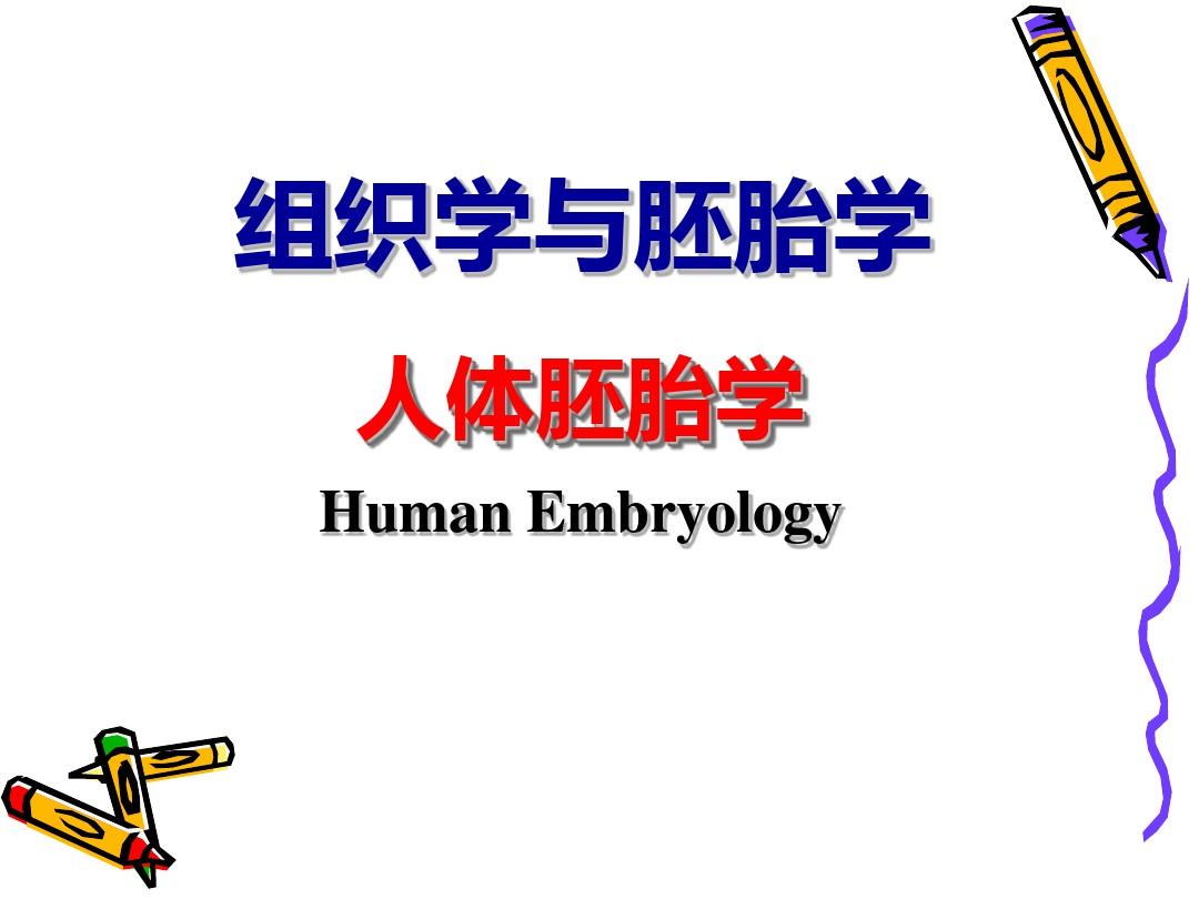 组织与胚胎学-人体胚胎学2