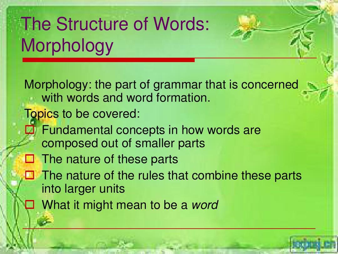 语言学_morphology