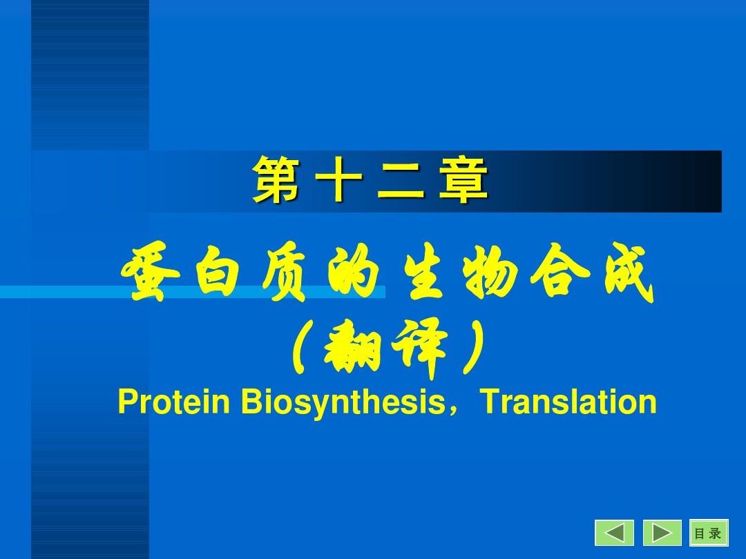 蛋白质的生物合成