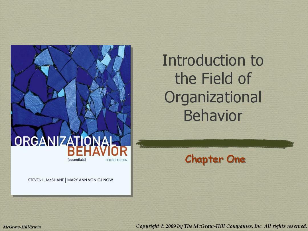 Organizational Behavior 01