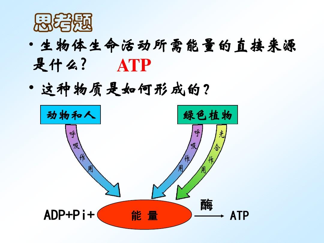 人教版高中生物必修一ATP的主要来源——细胞呼吸(共46张PPT)课件