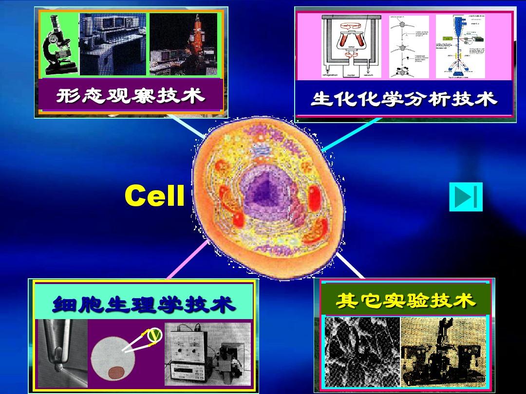 第03章 细胞生物学的研究方法