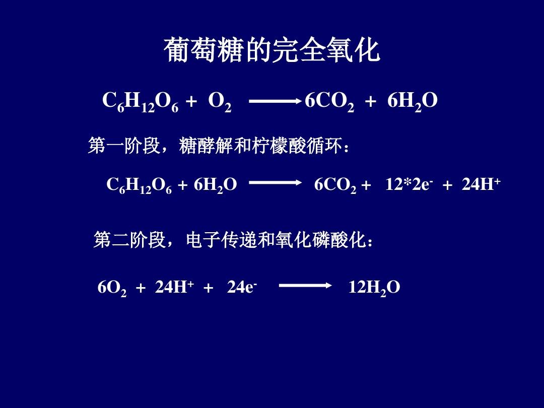 河南工业大学 生化 1第九章 电子传递和氧化磷酸化
