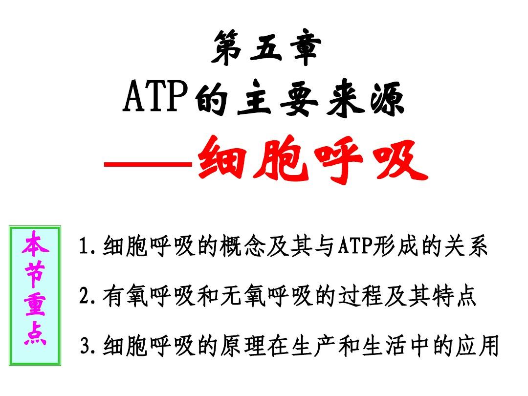 生物：5.3《ATP的主要来源——细胞呼吸》课件(新人教版必修1)(2)