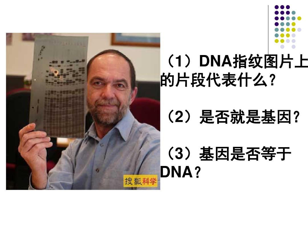 人教版高中生物必修二第三章第4节《基因是有遗传效应DNA片段》优秀课件(32张)(共32张PPT)