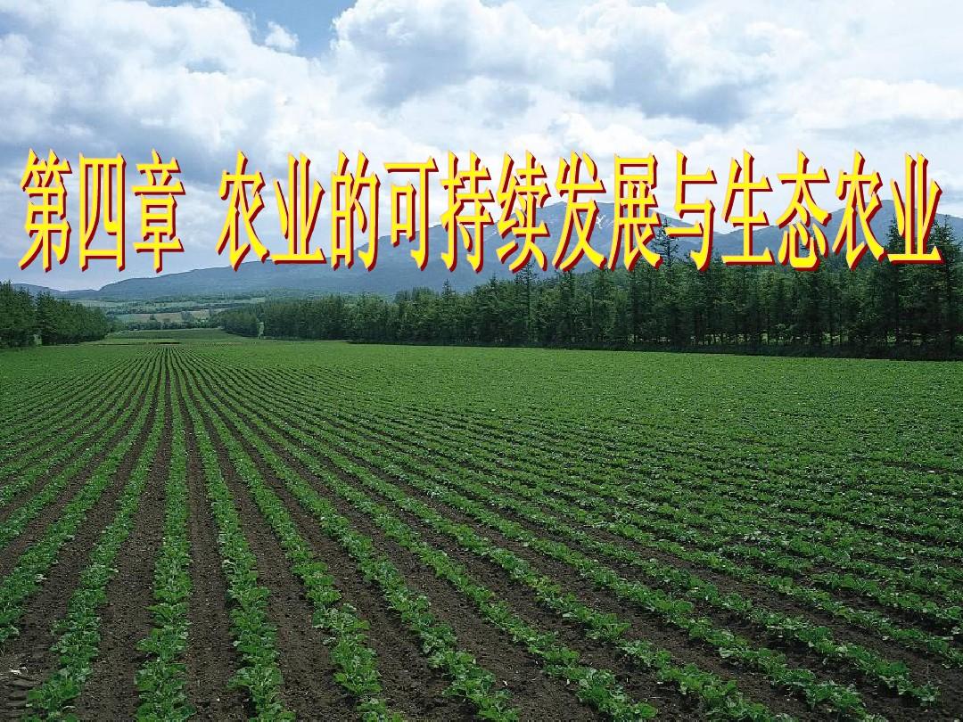 第四章 农业可持续发展与生态农业
