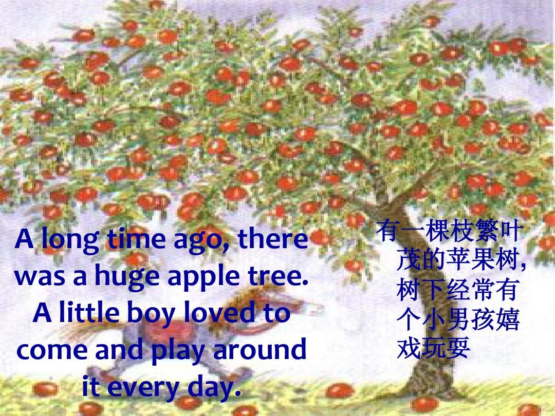 男孩和苹果树的故事PPT(英文版)