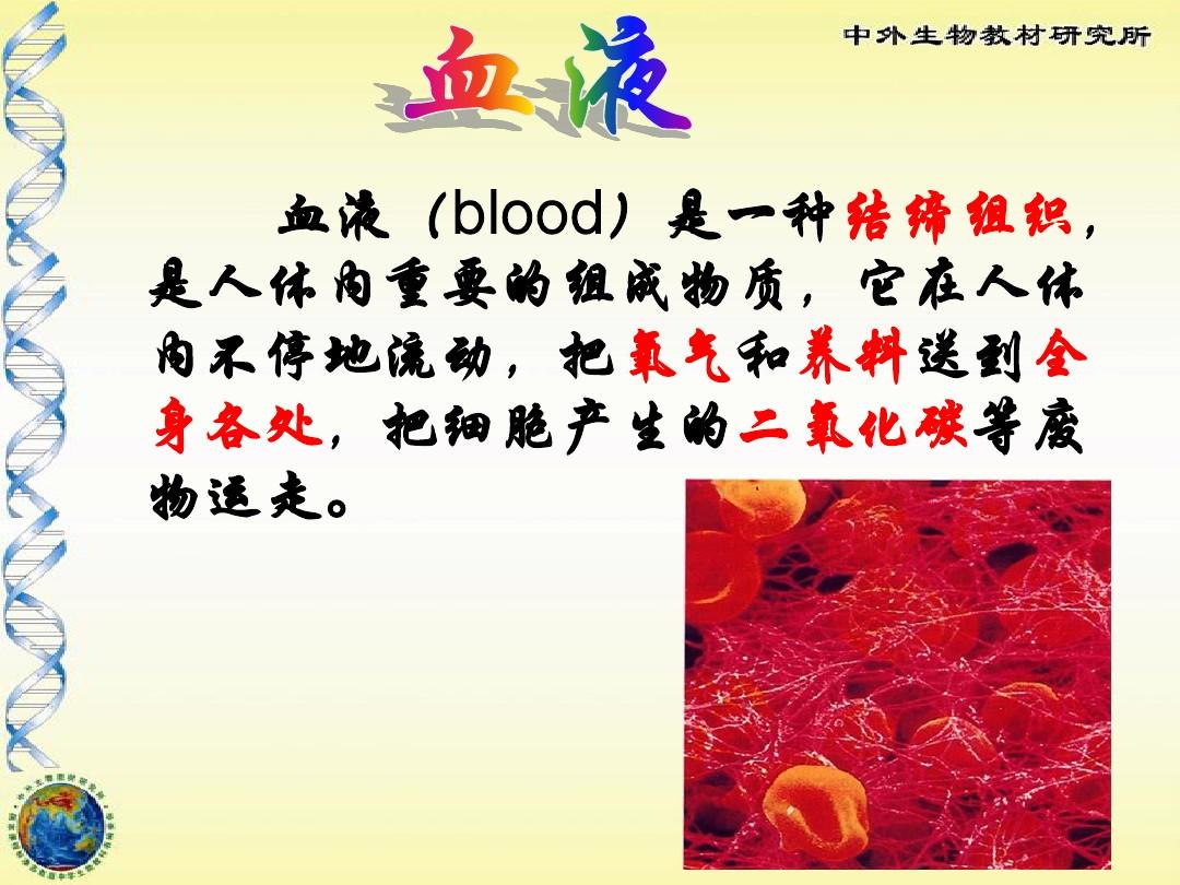 10-1血液和血型