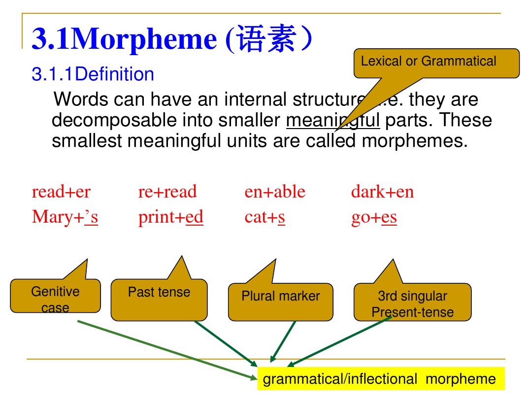 Chapter Three Morphological structur of English WORDS