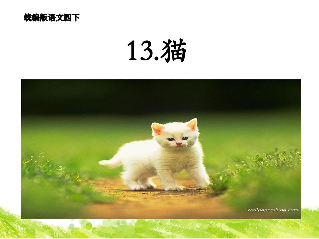 【最新】统编版四年级语文下册13.猫-优质课件.ppt