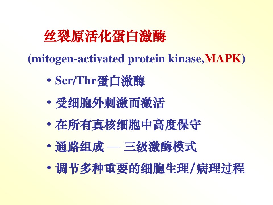 丝裂原活化蛋白激酶.