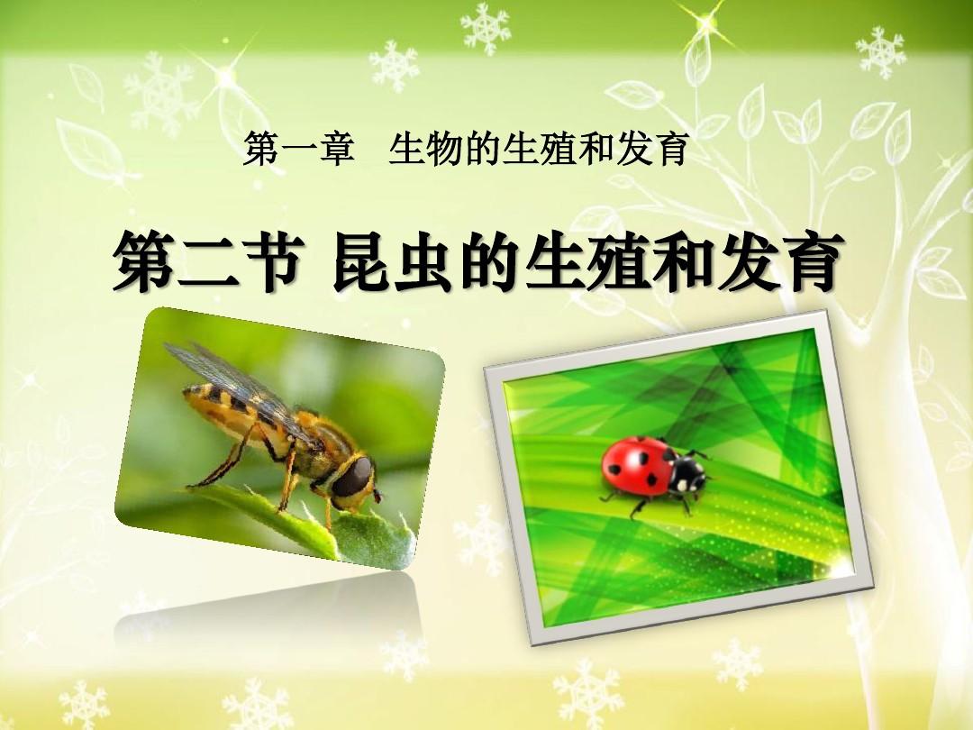 人教版八年级下册生物第二节昆虫的生殖和发育优秀课件 (2)