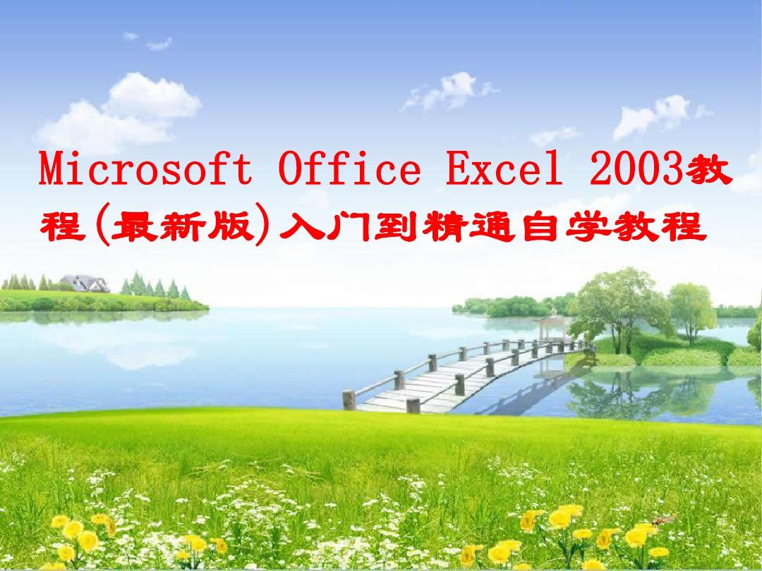 Microsoft Office Excel 2003 从入门到精通 实例教程 (最全最新版)