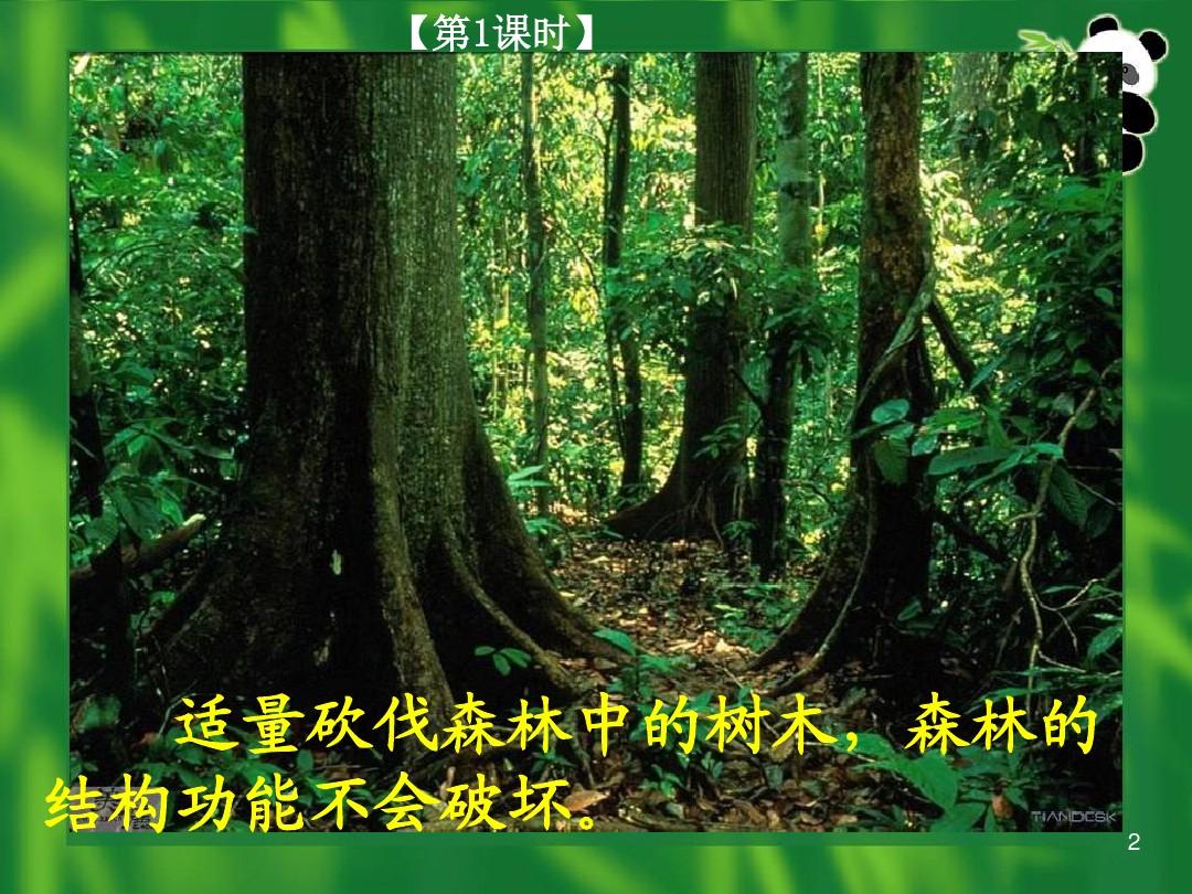 人教版高中生物必修3 稳态与环境5.5生态系统的稳定性(42张)