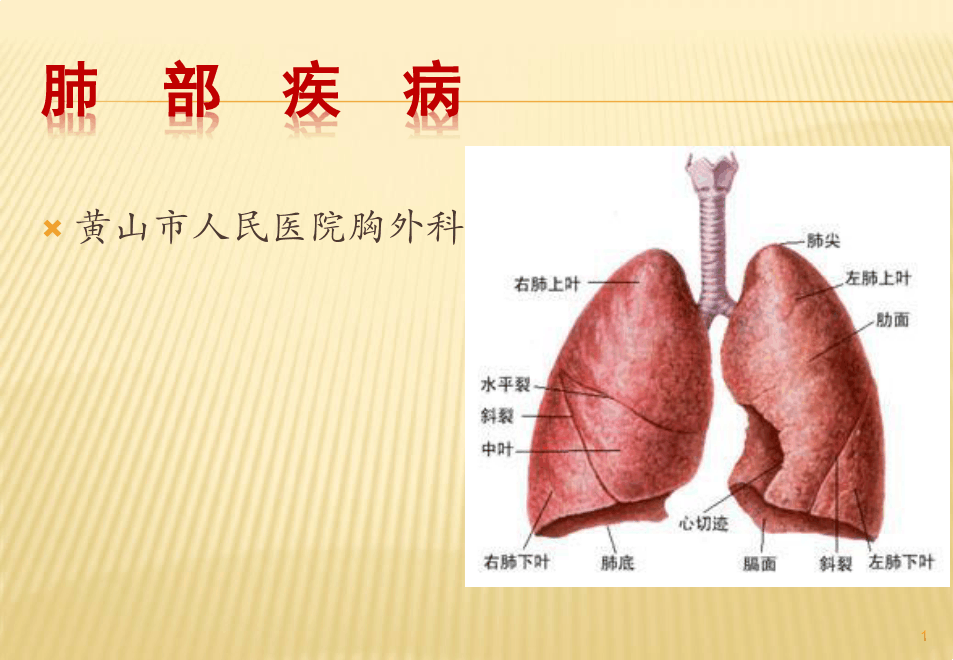 肺部疾病 PPT课件
