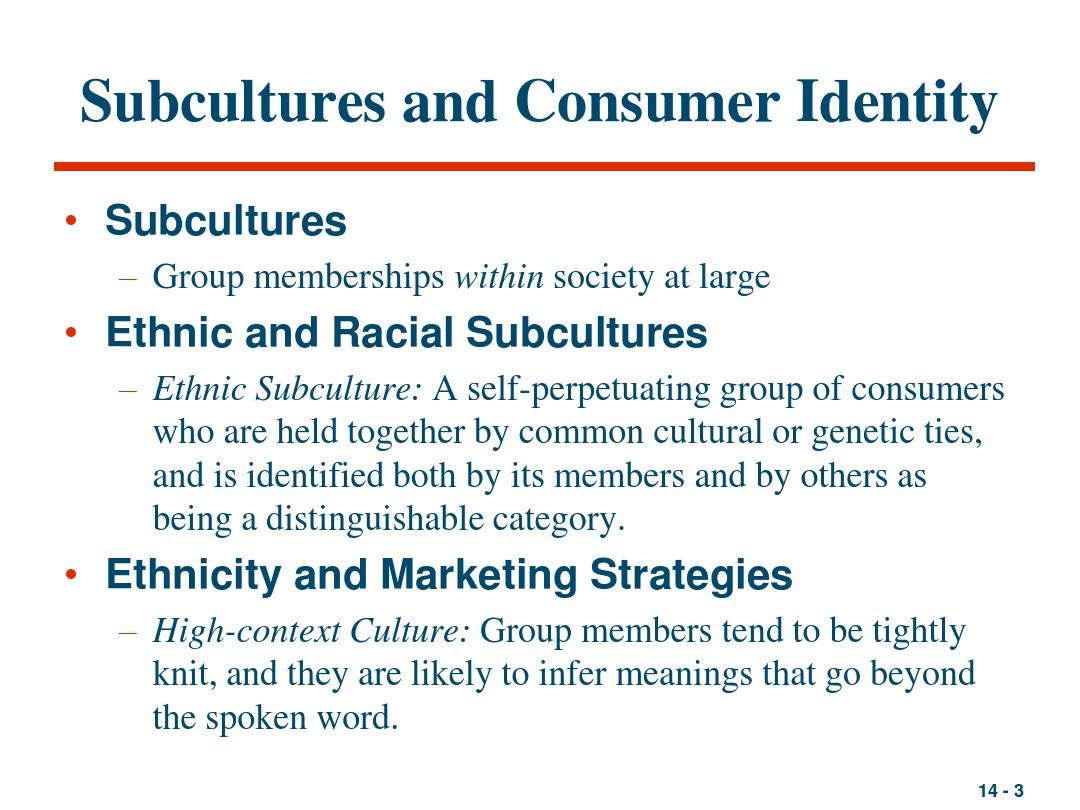 ch14_Ethnic Racial and Religious Subcultures