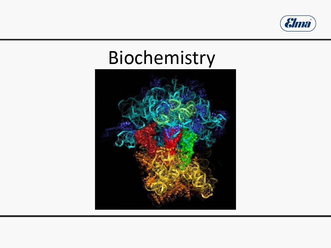 最新2019年整理生物化学BiochemistryintroductionPPT课件