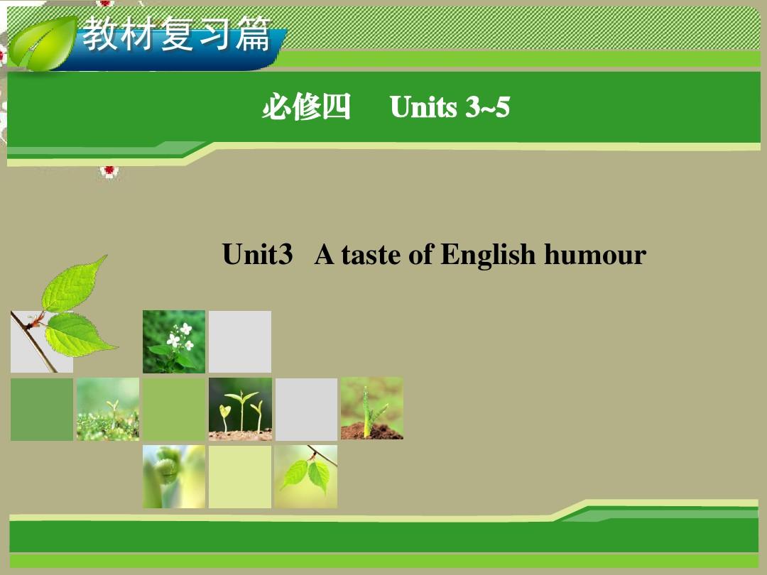 2014届高考英语一轮复习 Unit 3 A taste of English humour指导课件 新人教版必修4