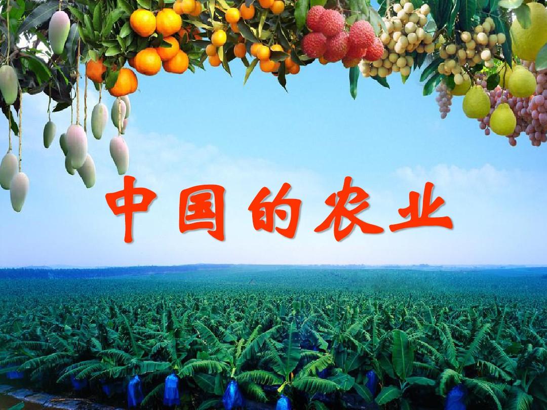高二区域地理中国农业ppt课件