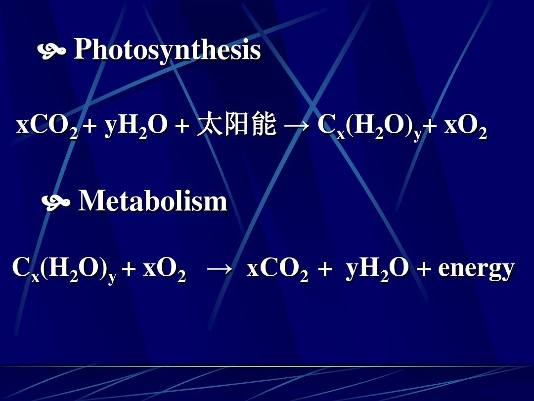 中国农业大学有机化学课件第十六章 碳水化合物