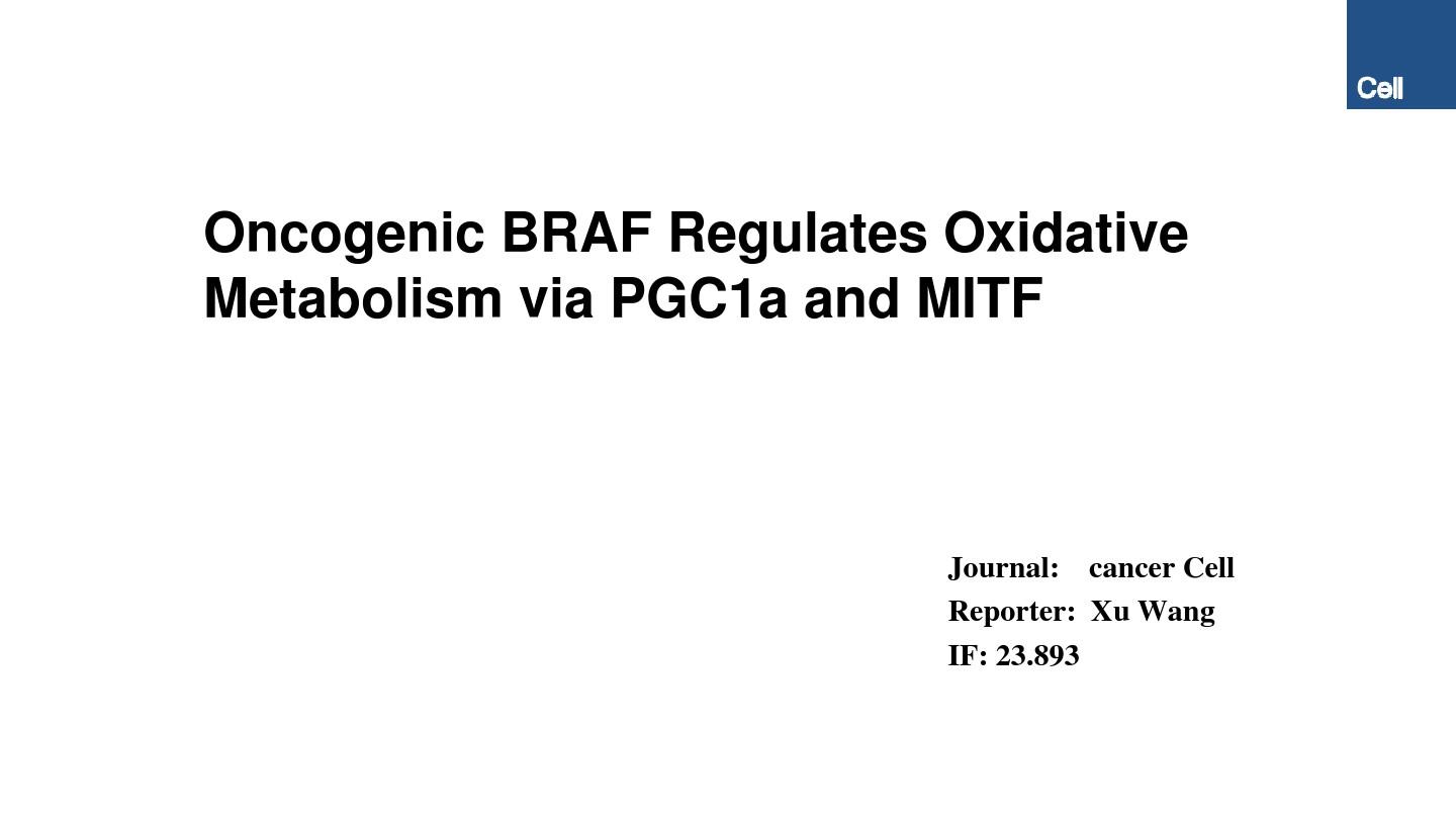 原癌基因BRAF通过PGC1α和MITF来调节氧化代谢