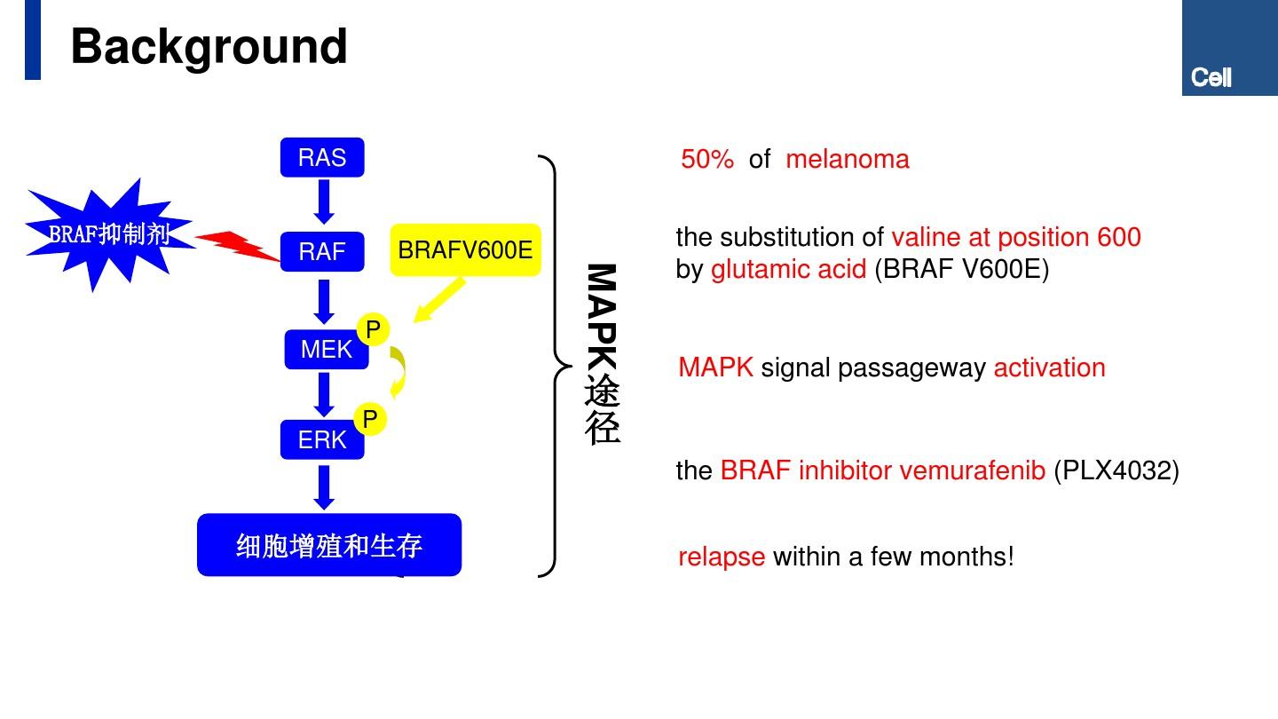 原癌基因BRAF通过PGC1α和MITF来调节氧化代谢