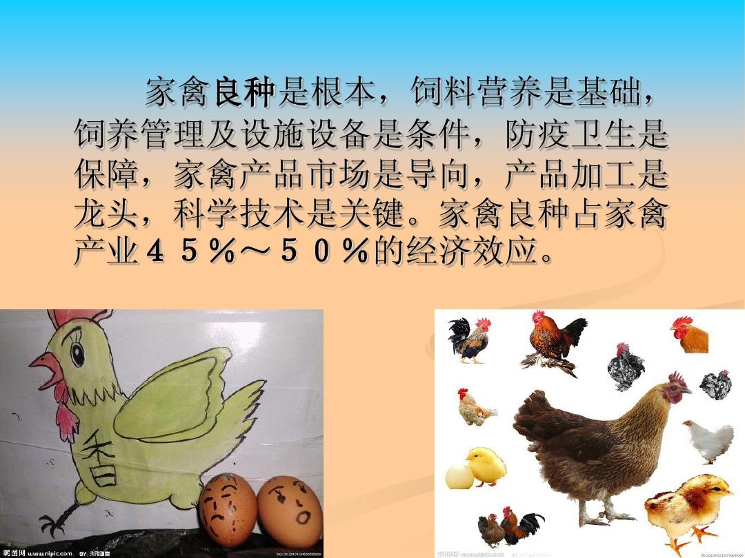 家禽育种原理及基本方法-苏红卫